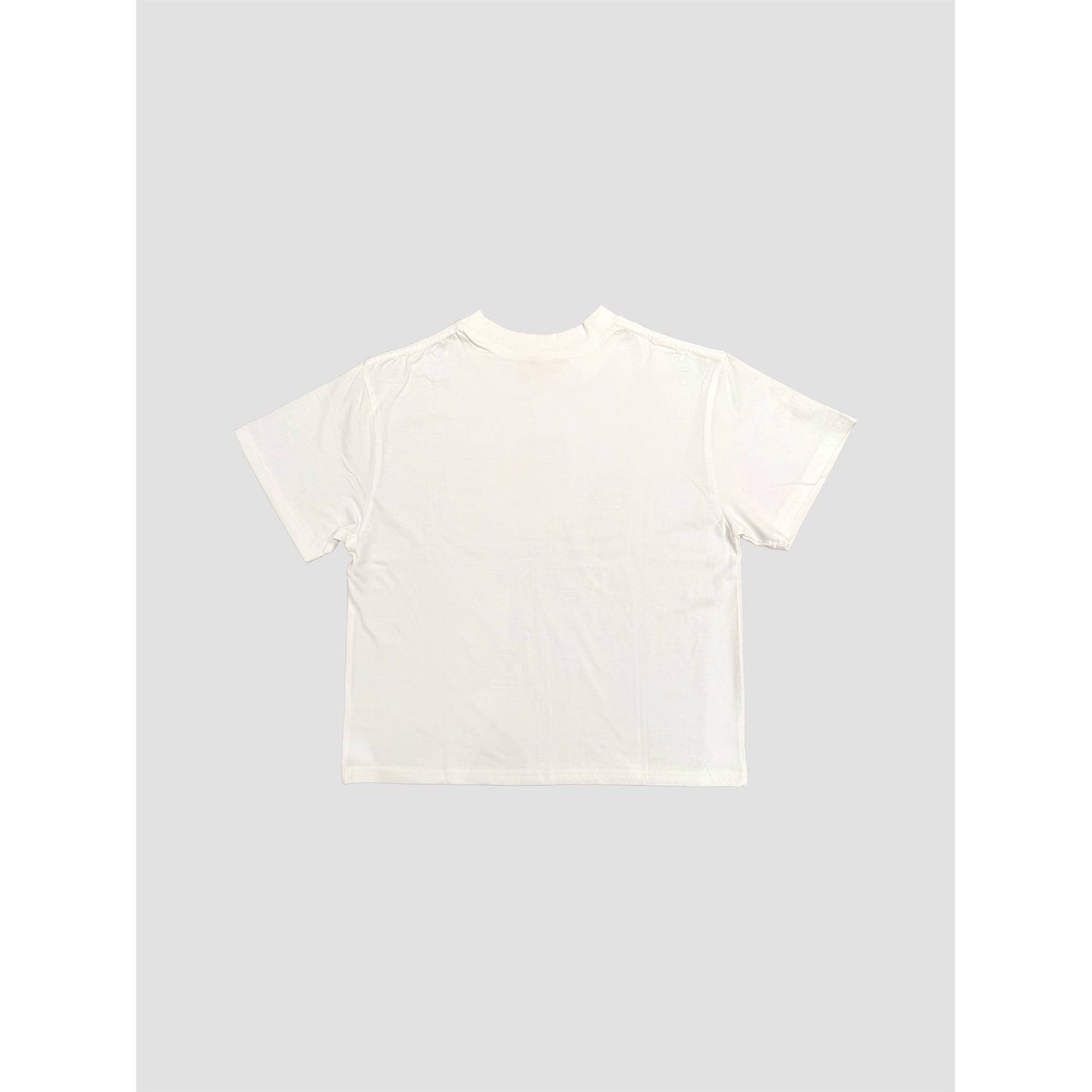 Mineral Washed Blank Cotton Tee (AAC097)
